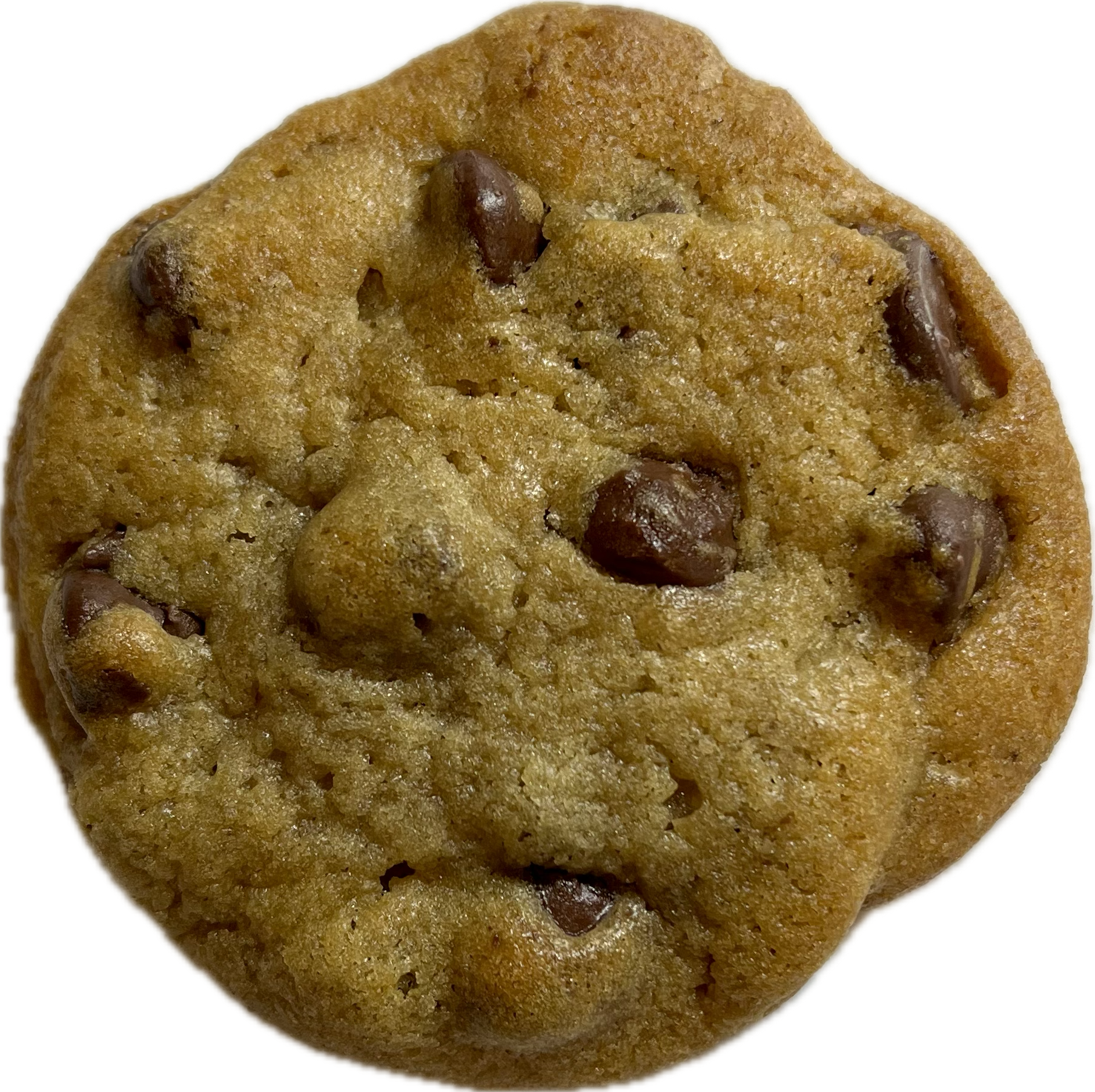 Chewy Chocolate Chip Cookie